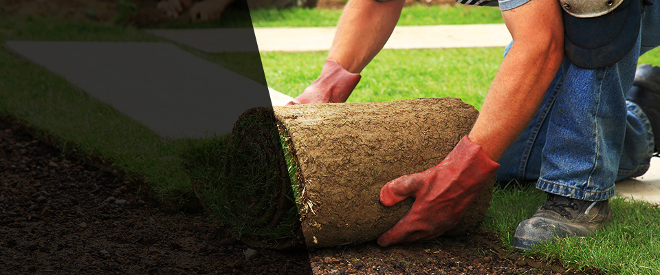 Broomfield Landscapers